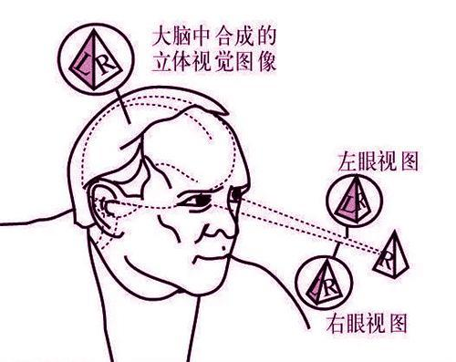 裸眼3D工作原理